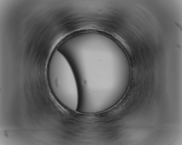 X0000097670791200803071554