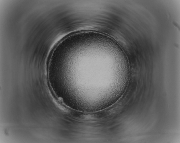 X0000097670792200803071554