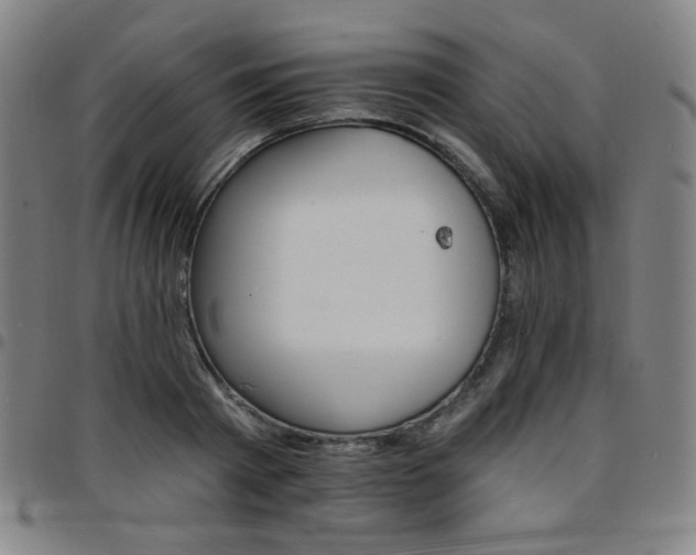 X0000097670793200803071554