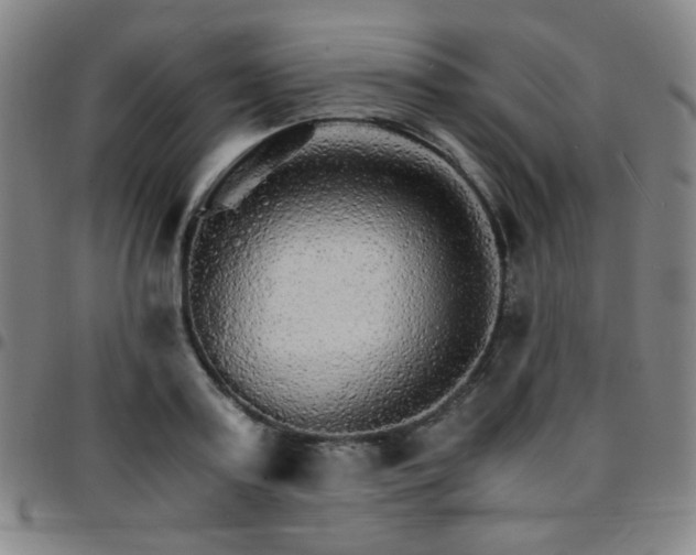 X0000097670795200803071554