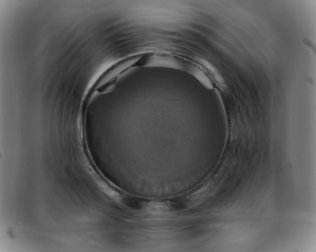 X0000097670796200803071554