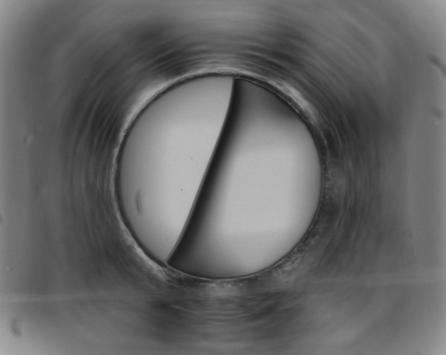 X0000097670799200803071554