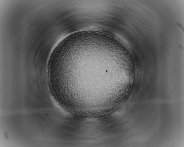 X0000097670800200803071554