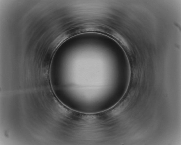X0000097670801200803071554