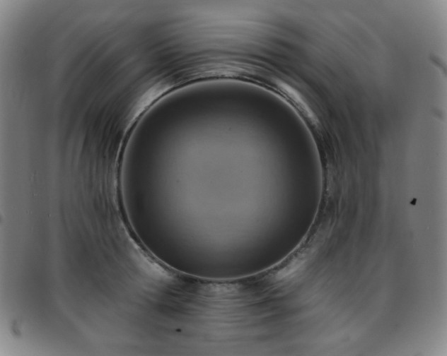 X0000097670802200803071554