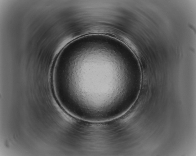 X0000097670803200803071554
