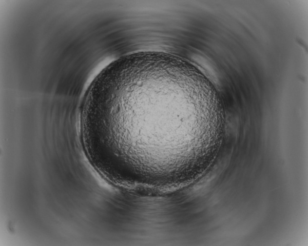 X0000097670804200803071554