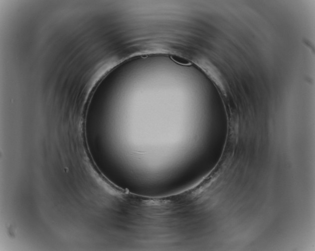 X0000097670805200803071554