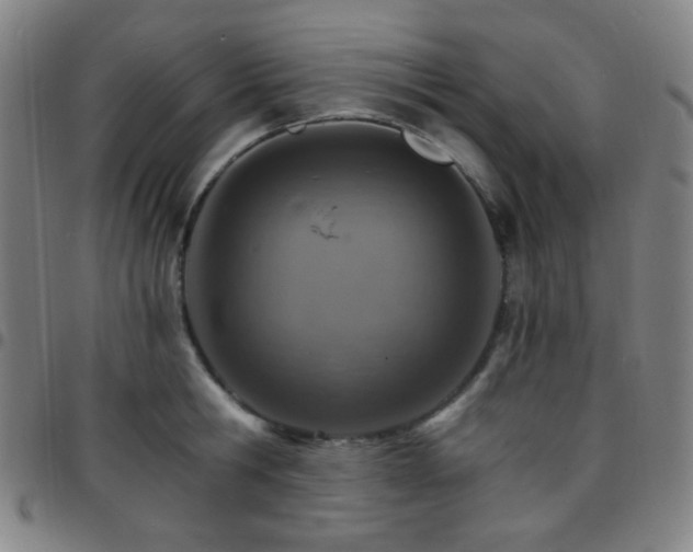 X0000097670806200803071554