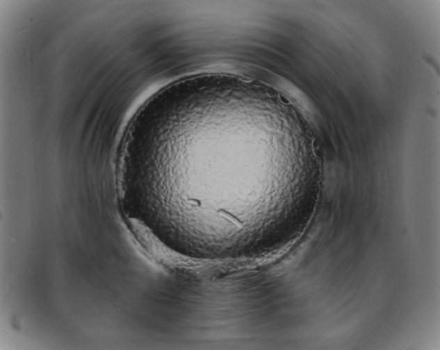 X0000097670808200803071554