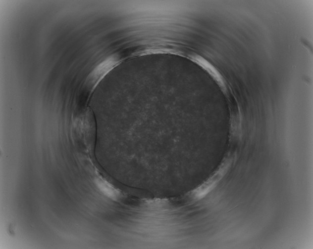 X0000097670809200803071554