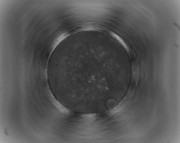 X0000097670810200803071554