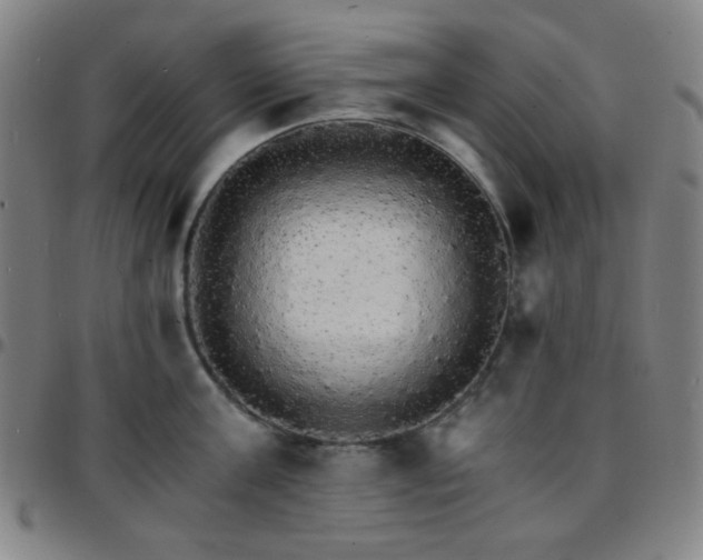 X0000097670811200803071554