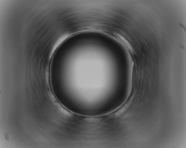 X0000097670812200803071553