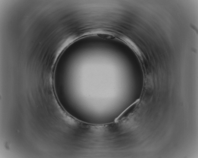 X0000097670813200803071553