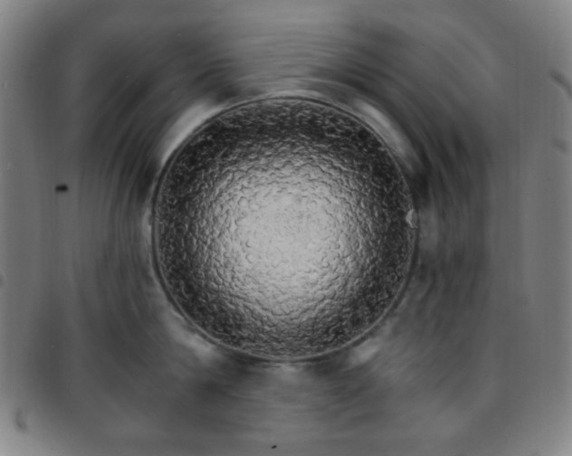X0000097670814200803071553