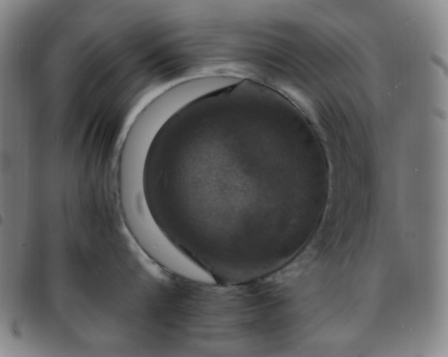 X0000097670816200803071553