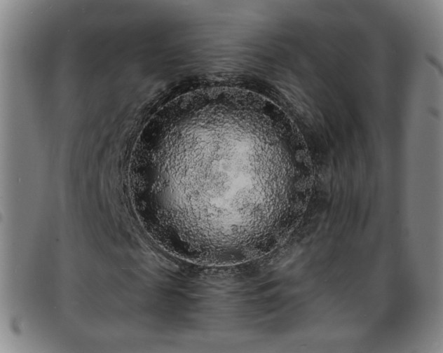 X0000097670817200803071553