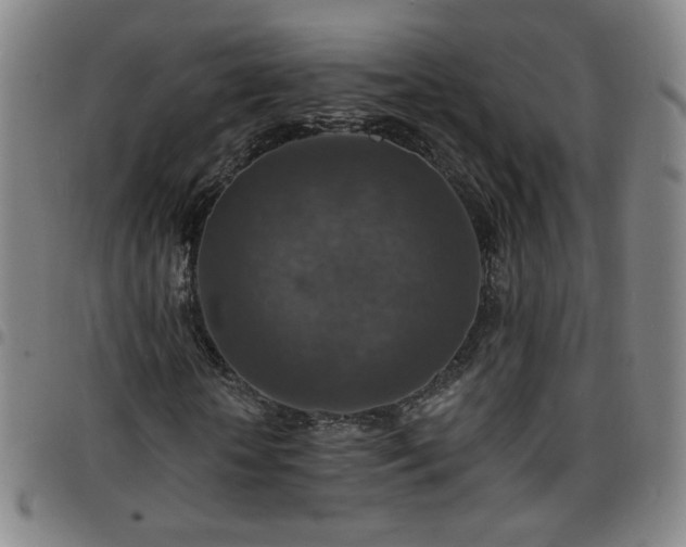 X0000097670818200803071553
