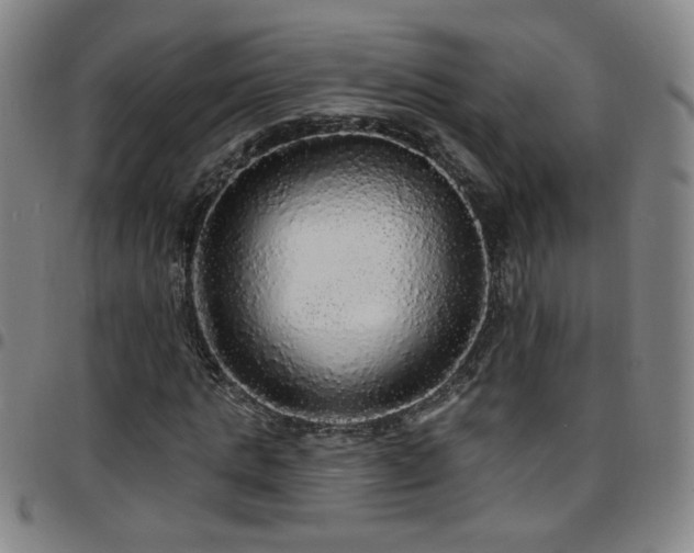 X0000097670821200803071553