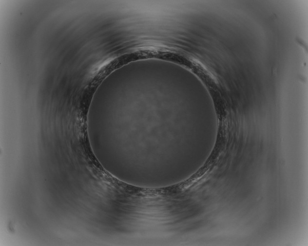 X0000097670822200803071553