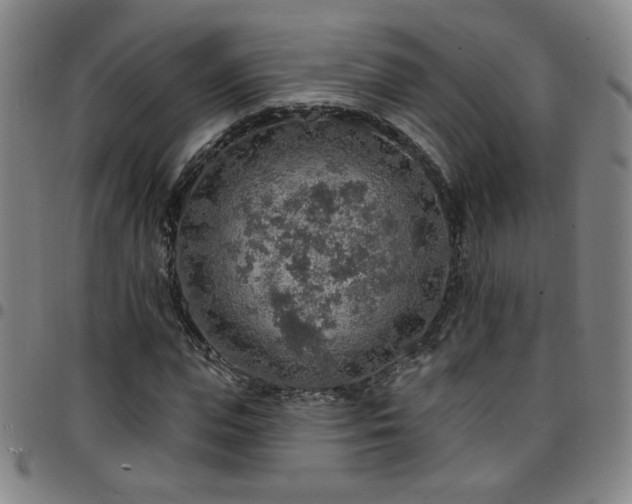 X0000097670823200803071553