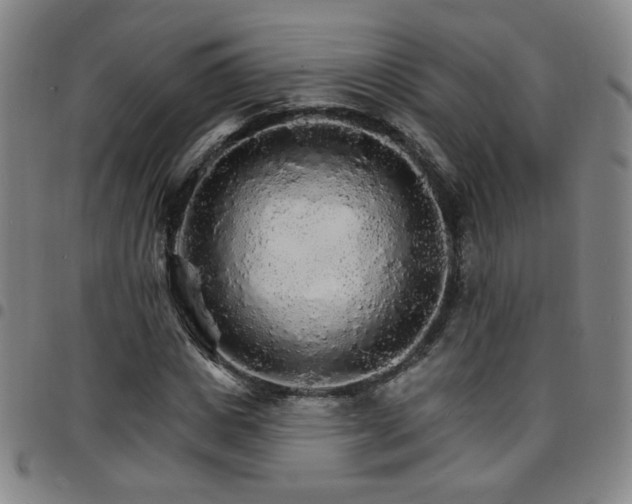 X0000097670825200803071553