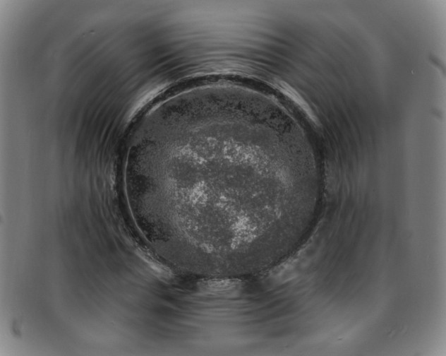 X0000097670826200803071553
