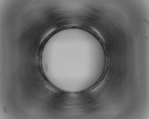 X0000097670827200803071553