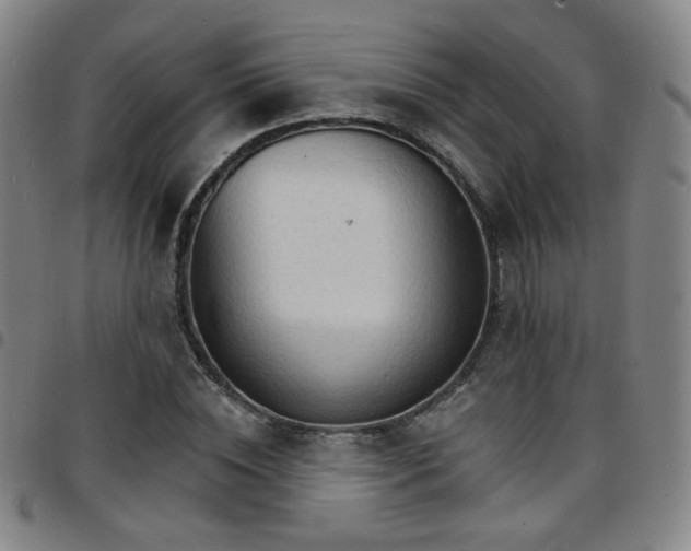 X0000097670828200803071553