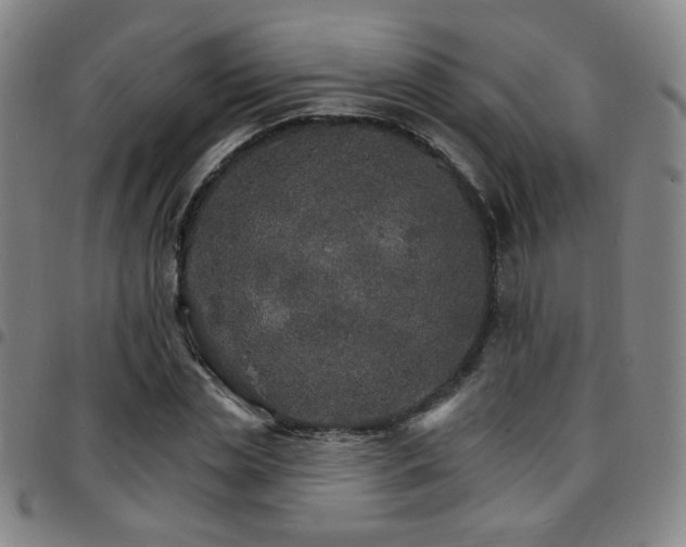 X0000097670829200803071553