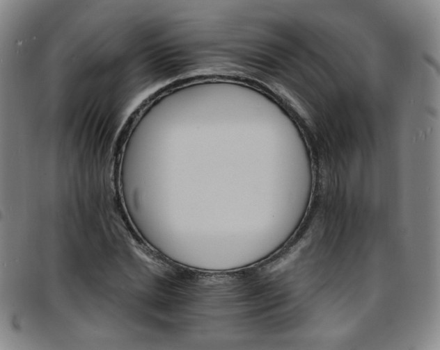 X0000097670830200803071553