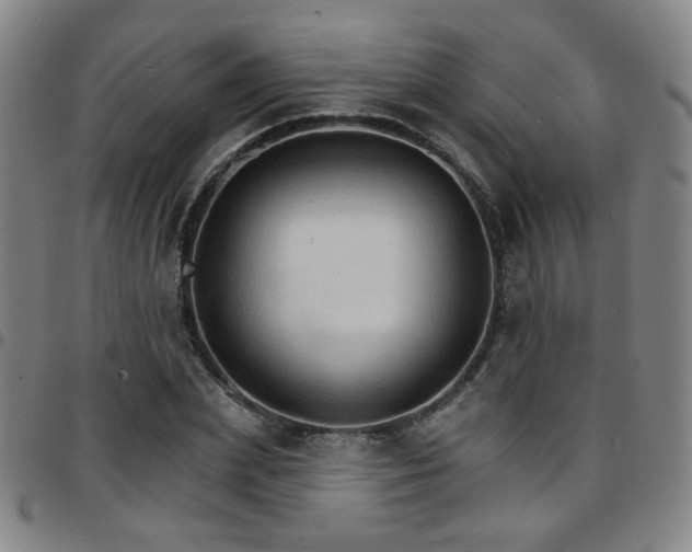 X0000097670831200803071553