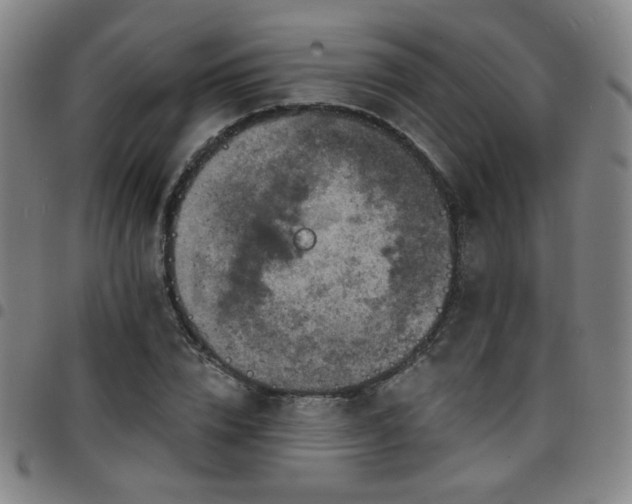 X0000097670832200803071553