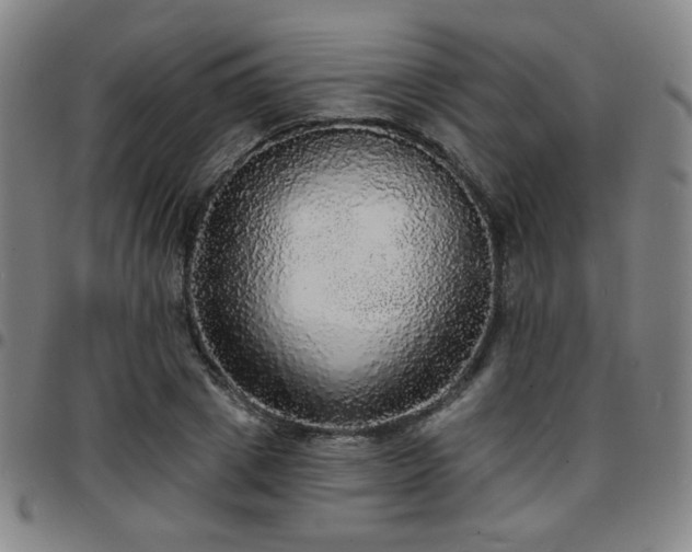 X0000097670833200803071553