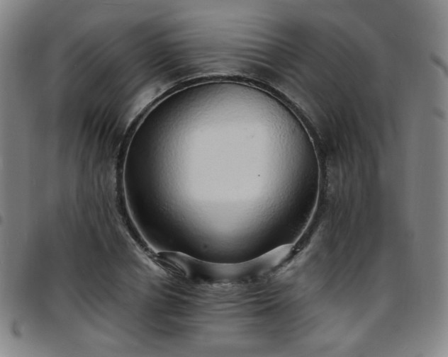 X0000097670834200803071553