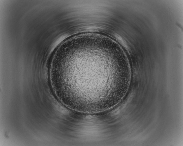 X0000097670835200803071553