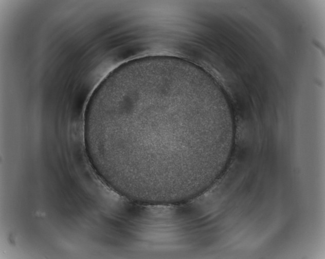 X0000097670836200803071553