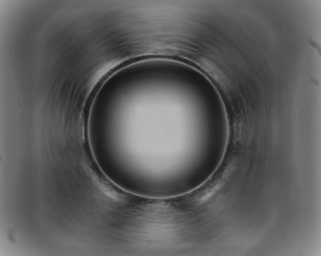 X0000097670838200803071553