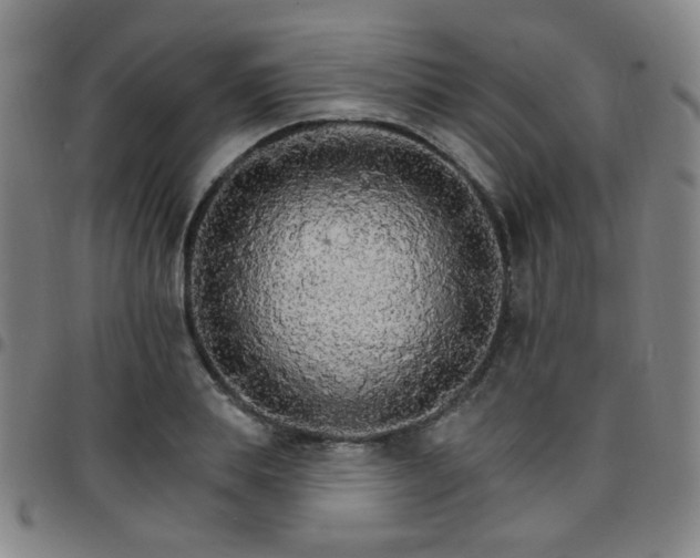 X0000097670839200803071553
