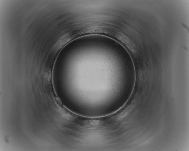 X0000097670841200803071553