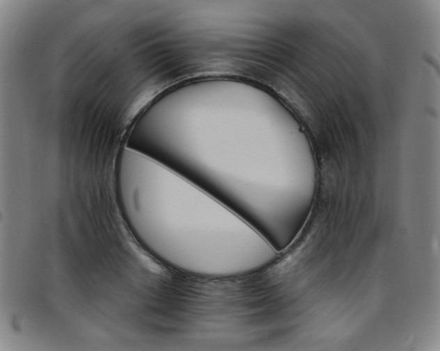 X0000097670842200803071553