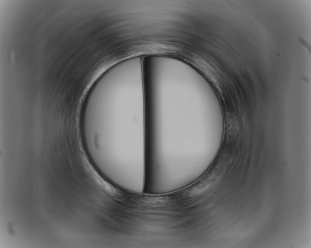 X0000097670843200803071553