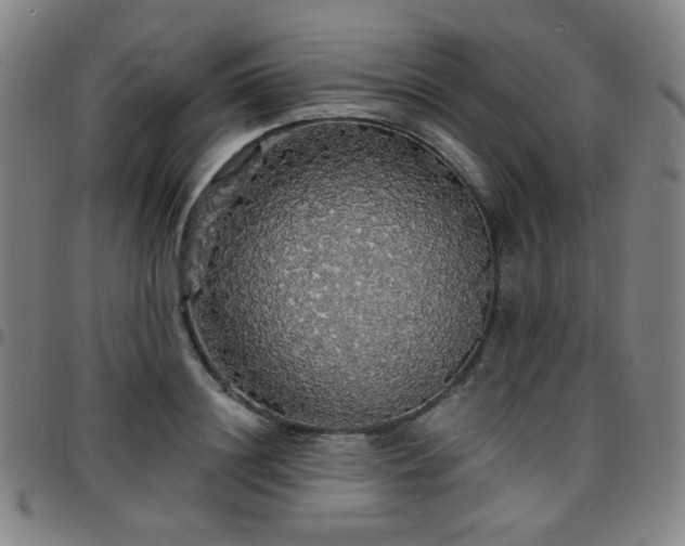 X0000097670844200803071553