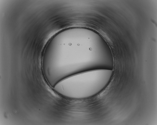 X0000097670846200803071553
