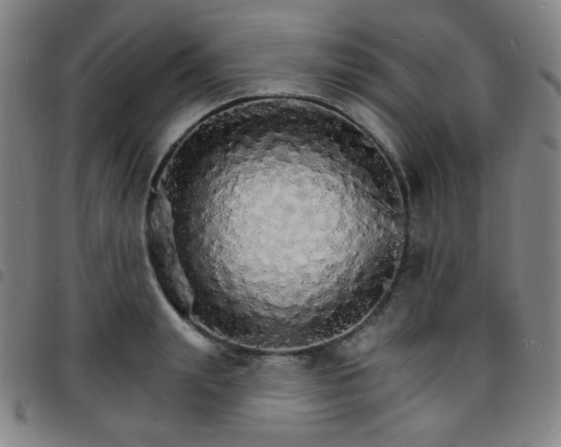 X0000097670847200803071553