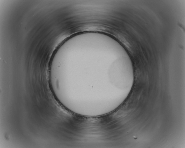 X0000097670848200803071553