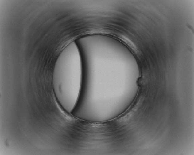 X0000097670849200803071553