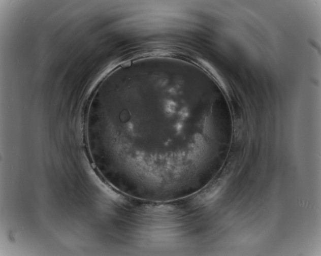 X0000097670851200803071553