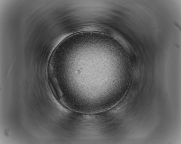 X0000097670852200803071553